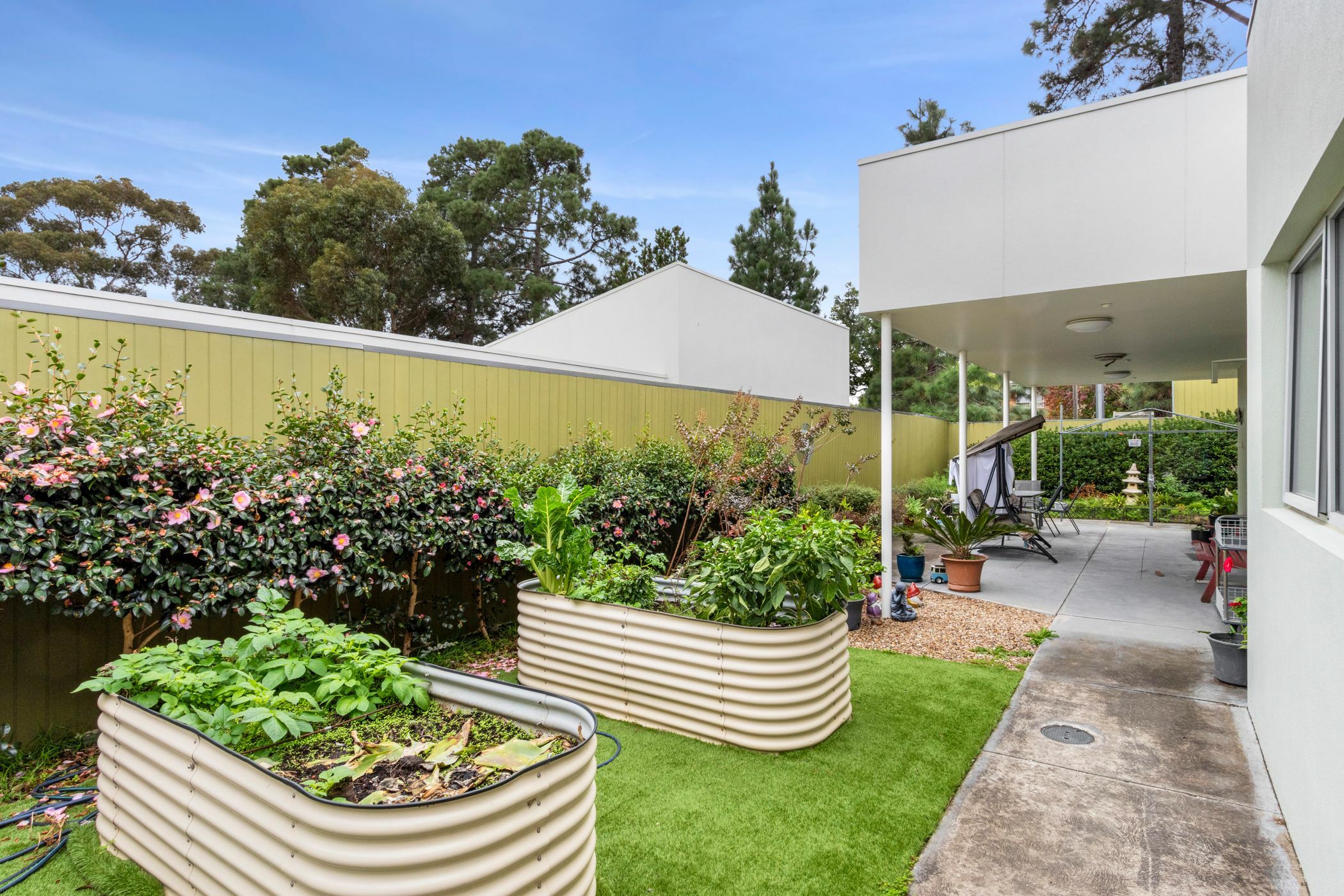 Leafy Kew awaits you in this Fully accessible home — Home image 6