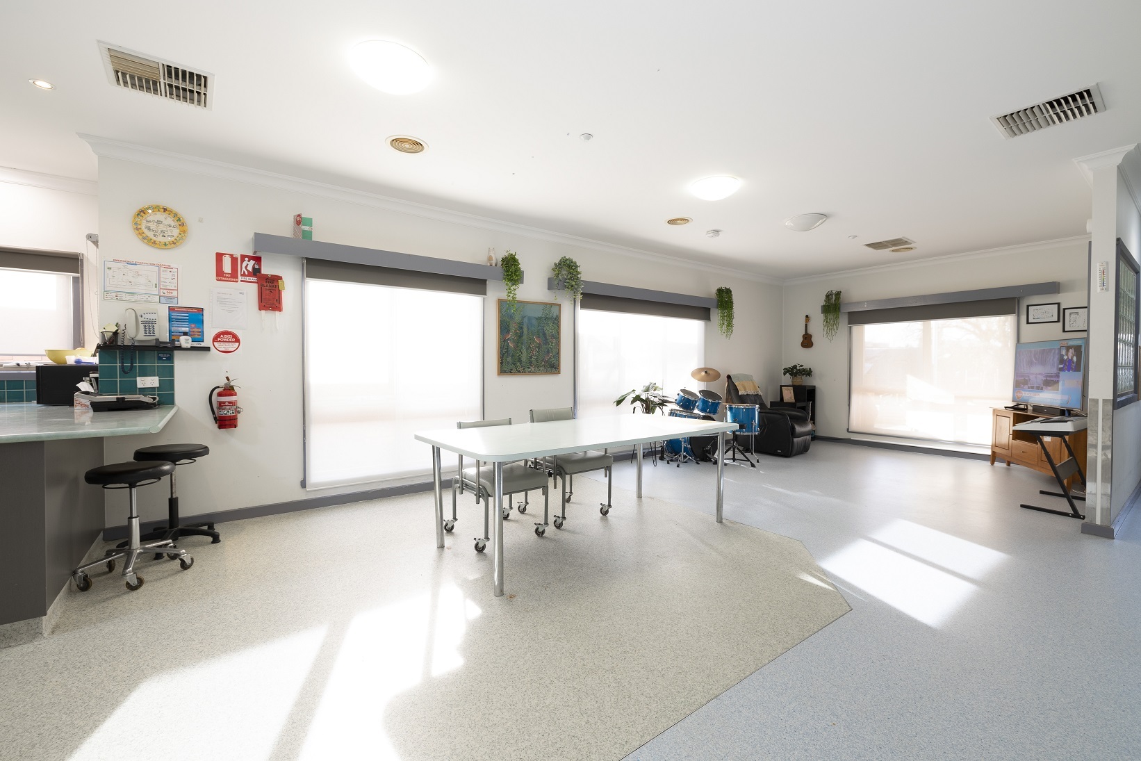 A bright,spacious, accessible house with a large backyard and pet chickens! — Home image 10