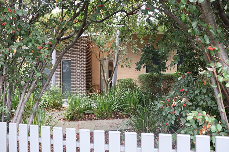 Improved Liveability - Modern 5 Bedroom house in Oakleigh South — Home image 5