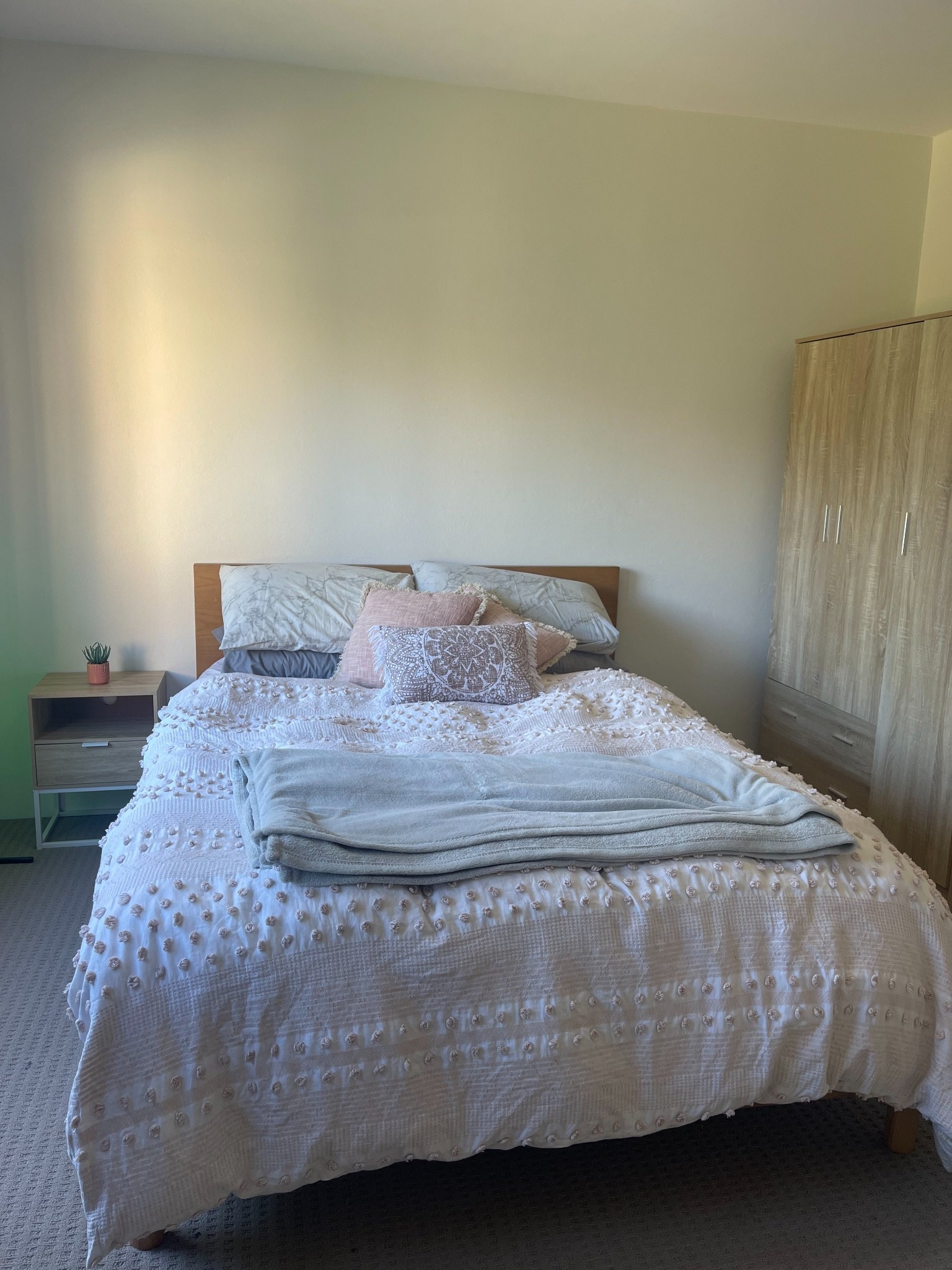 Cosy Entire Apartment in Inner West Sydney — Home image 9