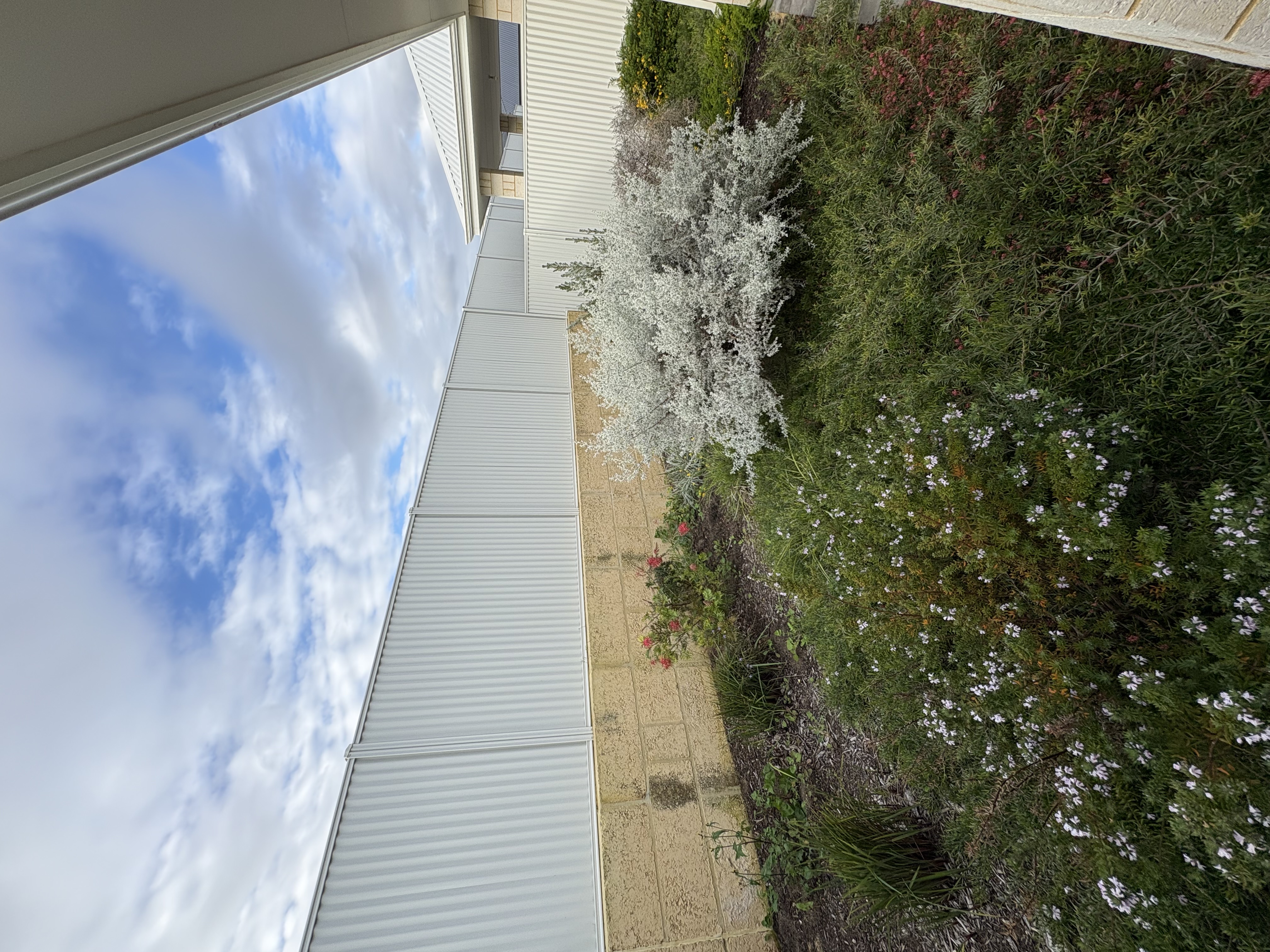 Eglinton SIL House — Home image 13