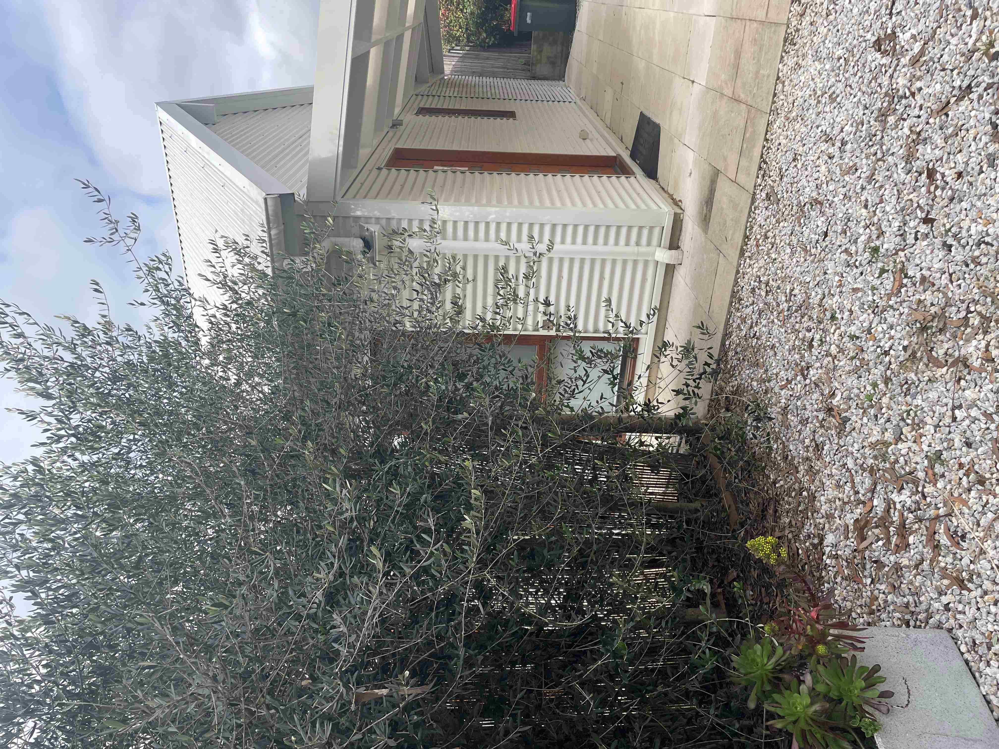 Unique Accommodation for SIL/STA/Respite, Mittagong — Home image 4