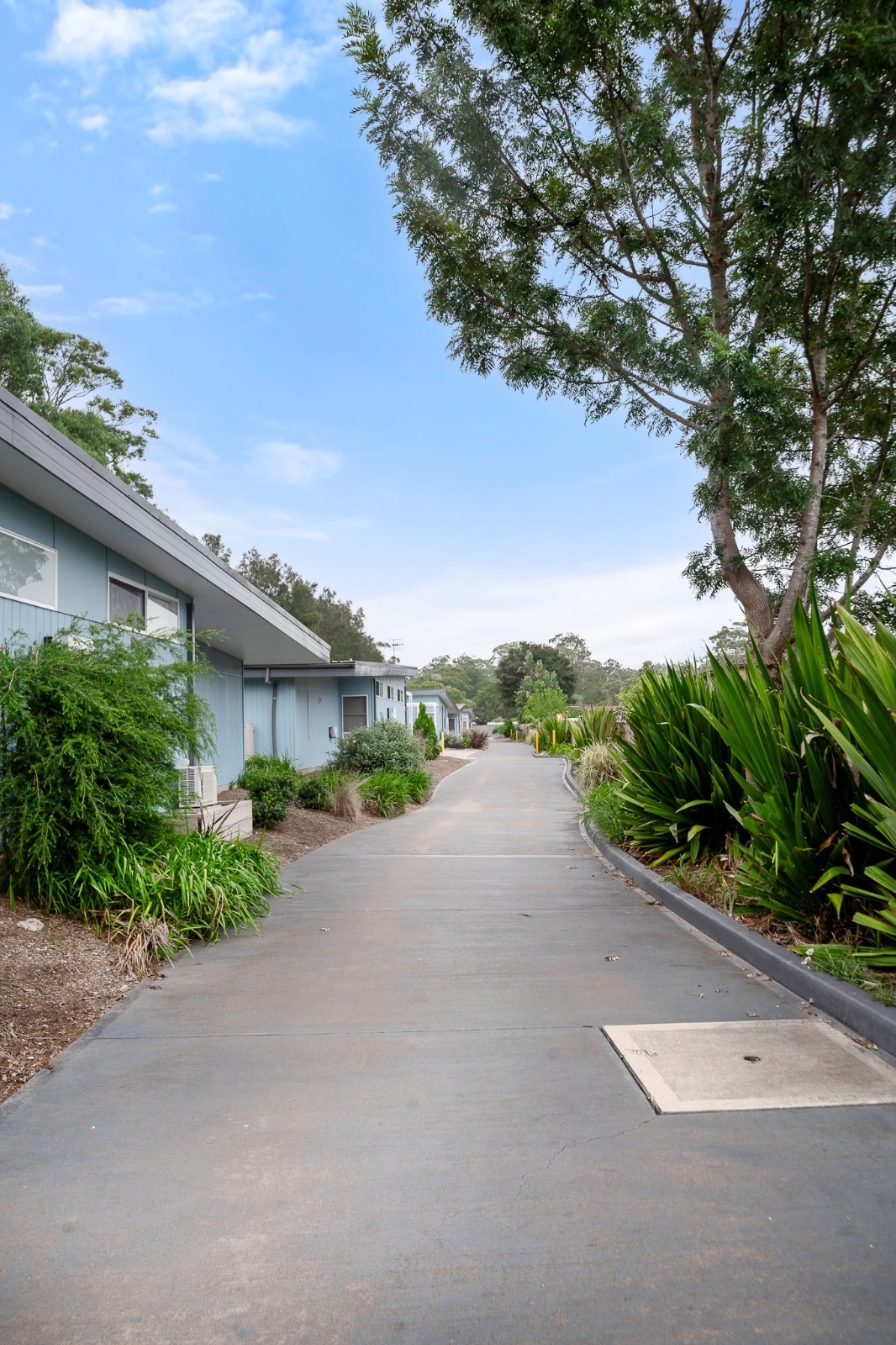 Boyce Ave, Wyong NSW 2259 — Home image 4