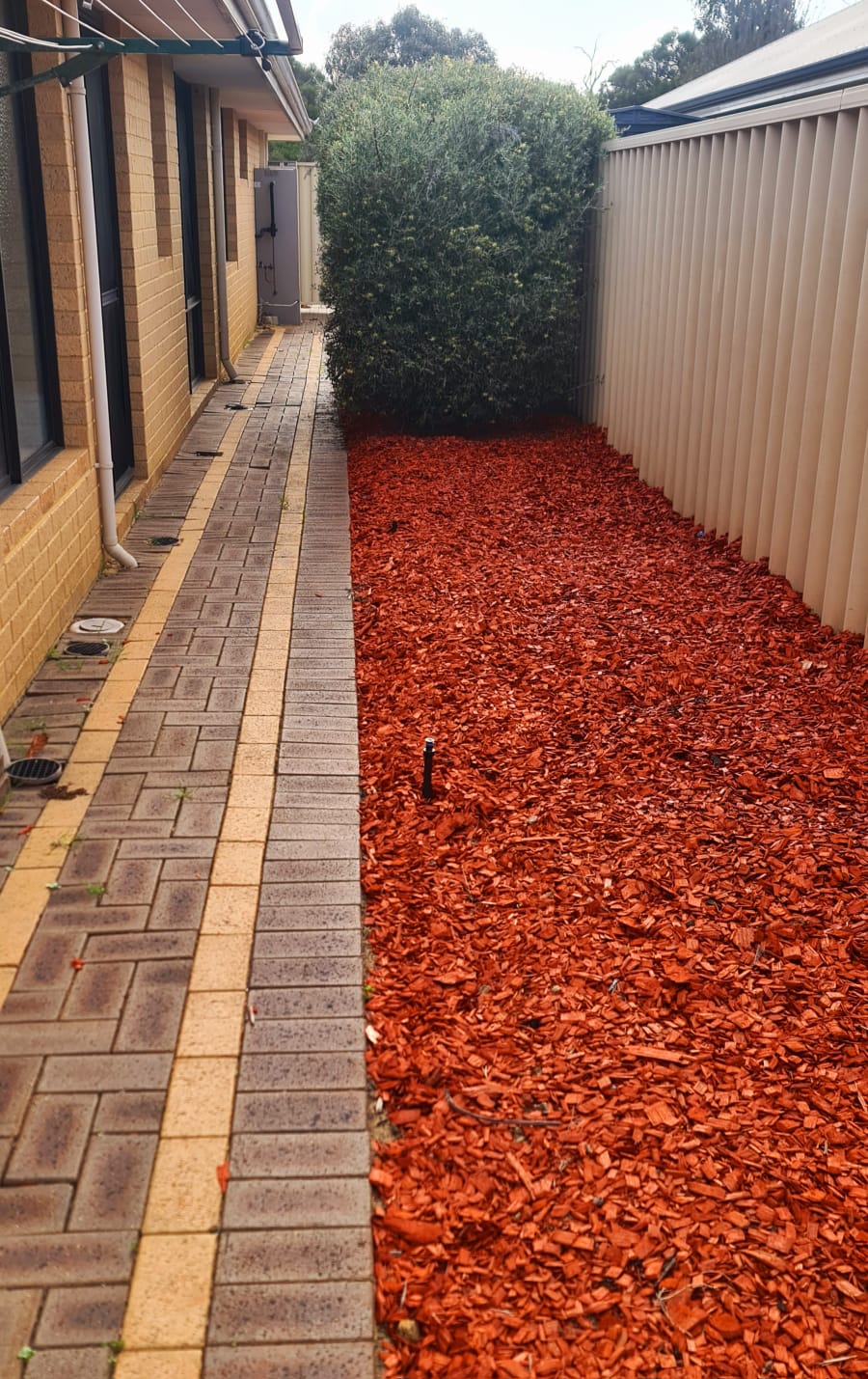 4X2 Spacious Property in Harrisdale/Canning vale area — Home image 4
