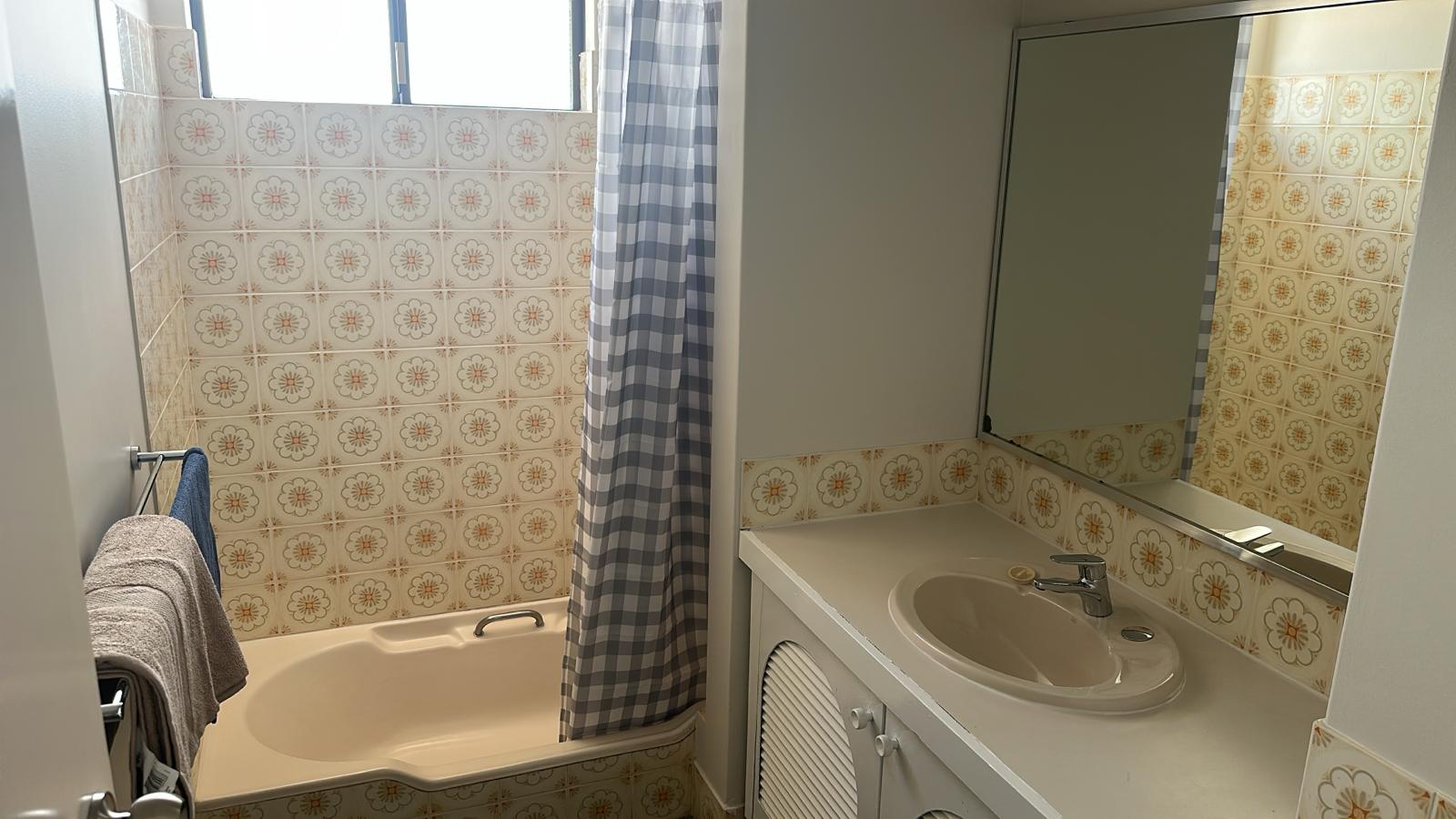 SIL,Drop-in Support in Shelley — Home image 8