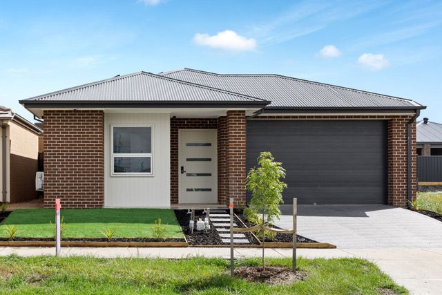 SSC Brand new robust home — Home image 2