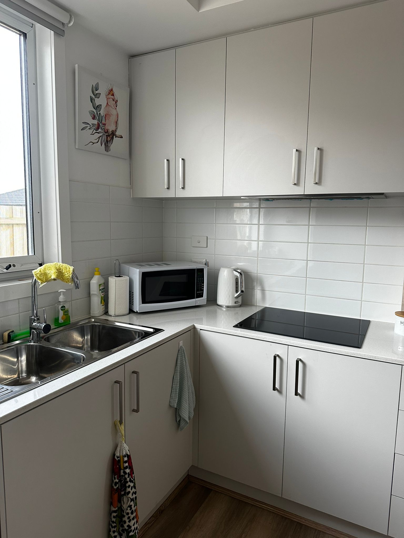 Beautifully Designed SDA in Bonshaw – Accessible, Modern & Supported Living — Home image 9