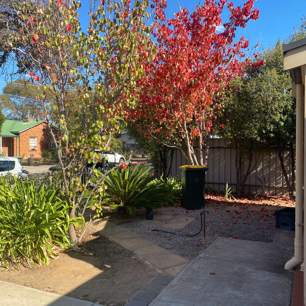 Findon — Home image 3