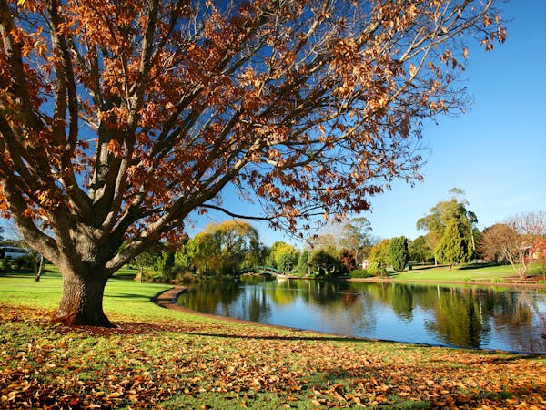 Private and Peaceful Living in Harristown—A Home with Heart — Home image 26