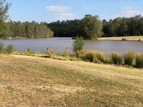 Active Care & Accommodation — Home image 7