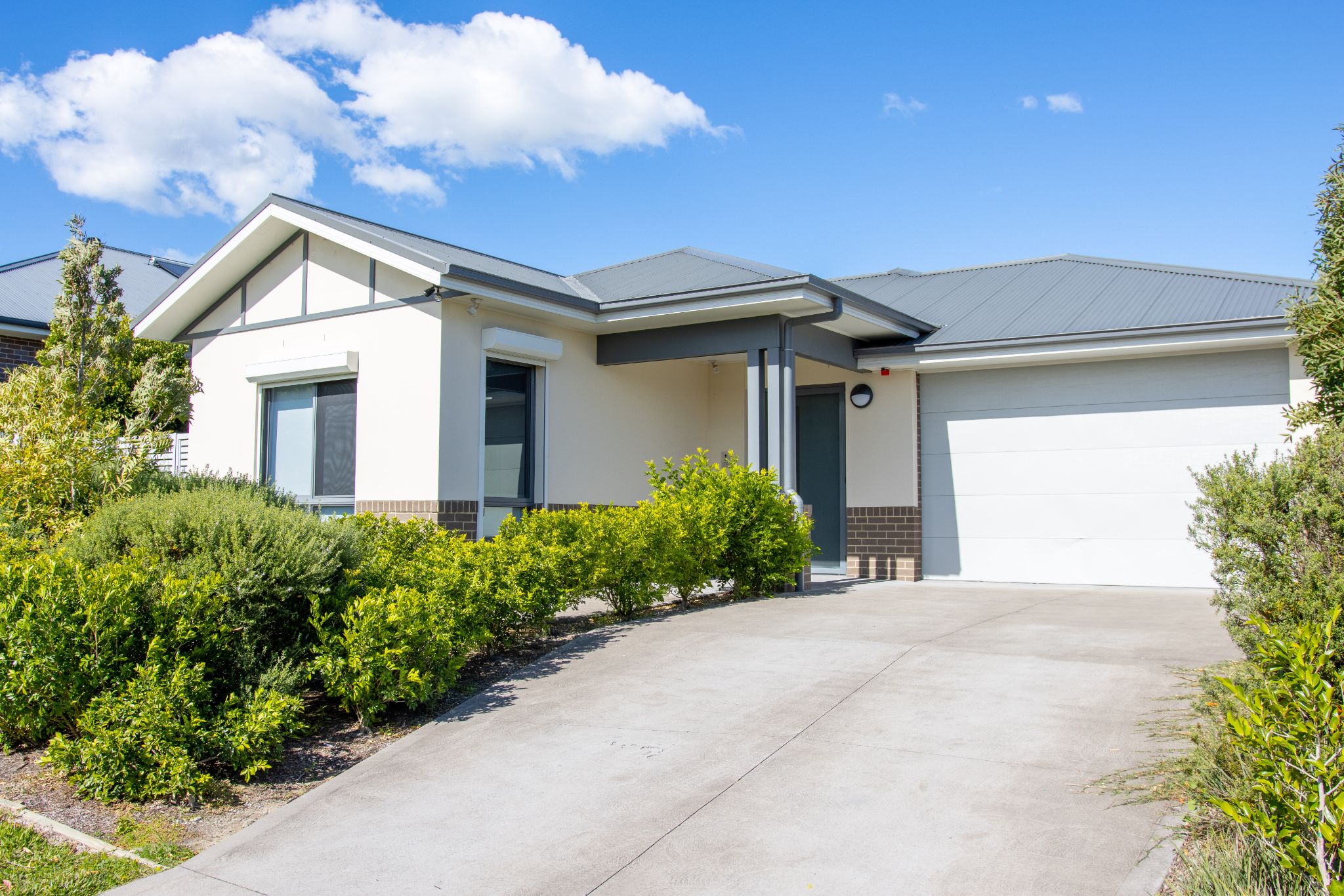 Established Home in Bolwarra Heights — Home image 4