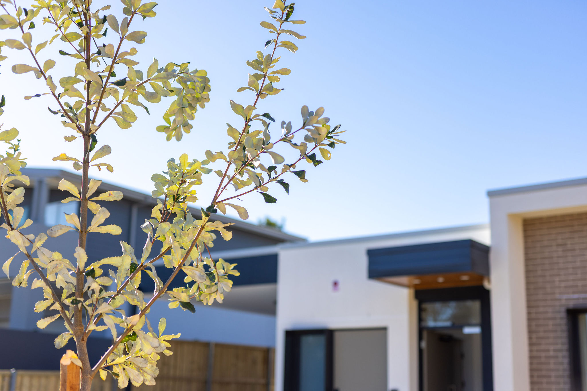 Terrey Hills, NSW - House & Villa — Home image 2