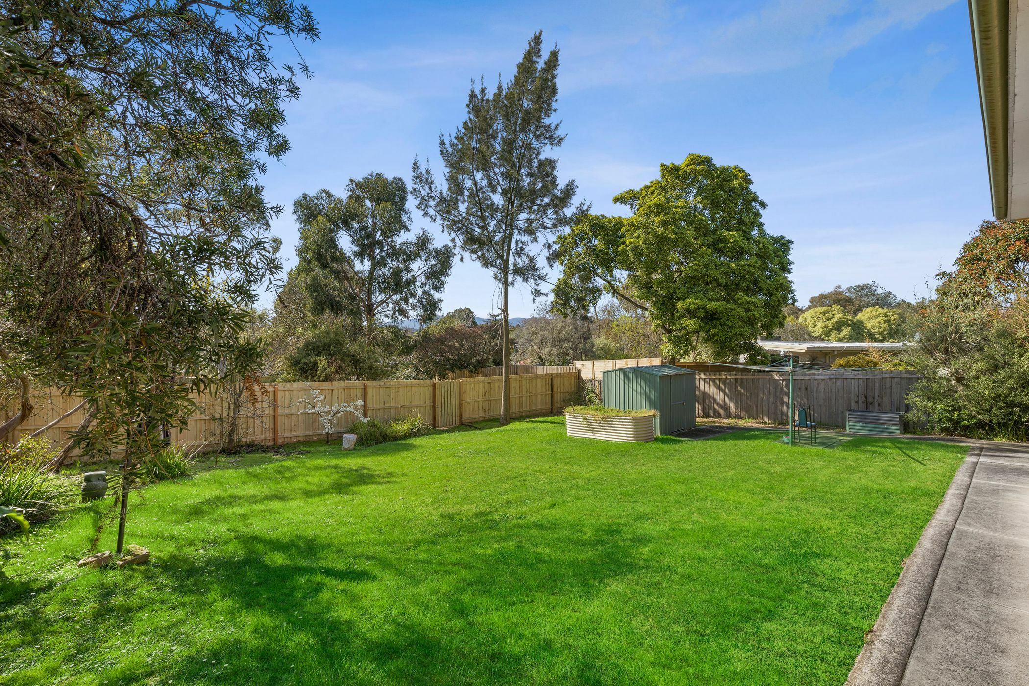 Leafy green and tranquil home — Home image 4