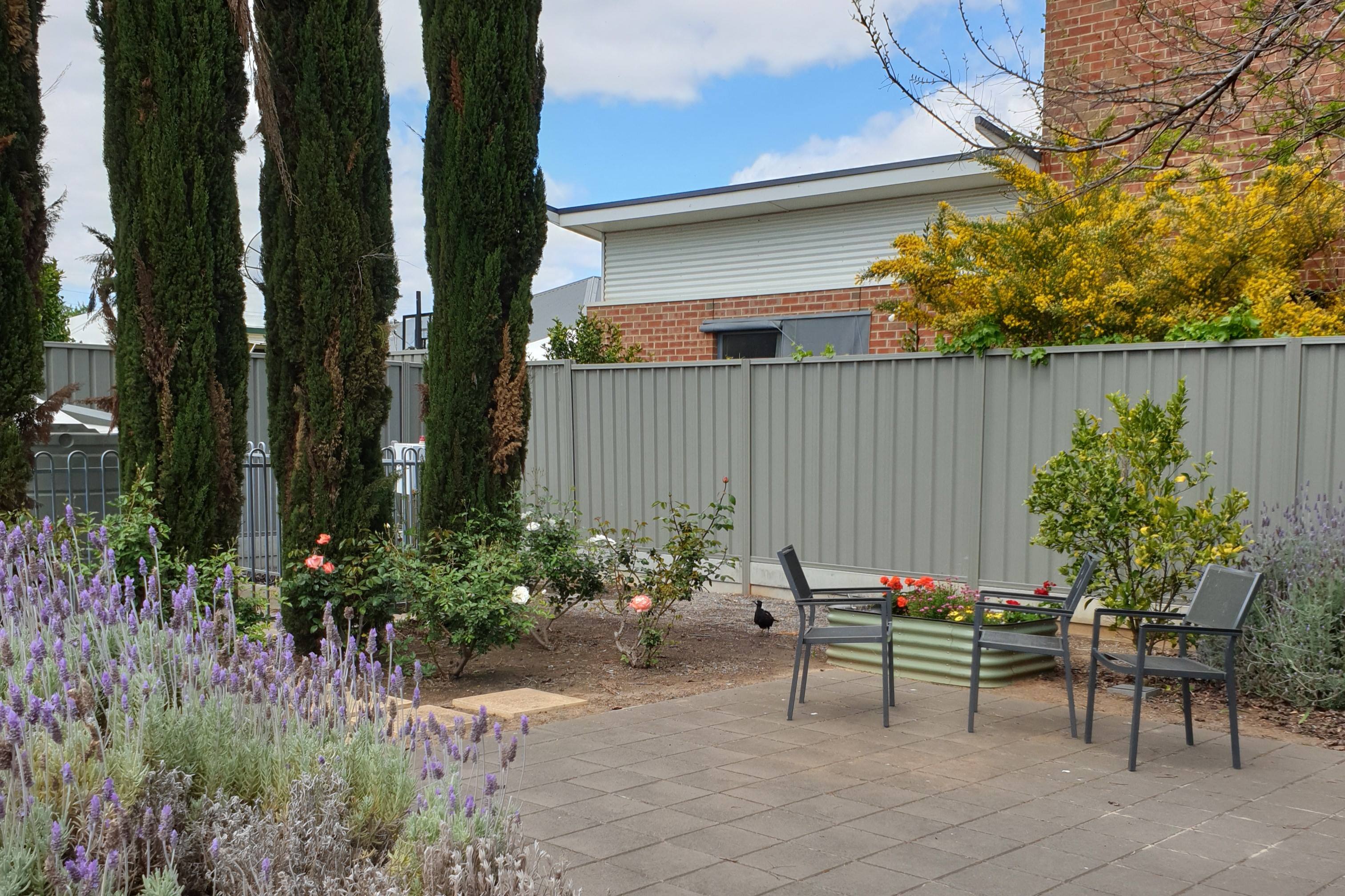 Findon - one bedroom available - shared accommodation - High Physical Support — Home image 6