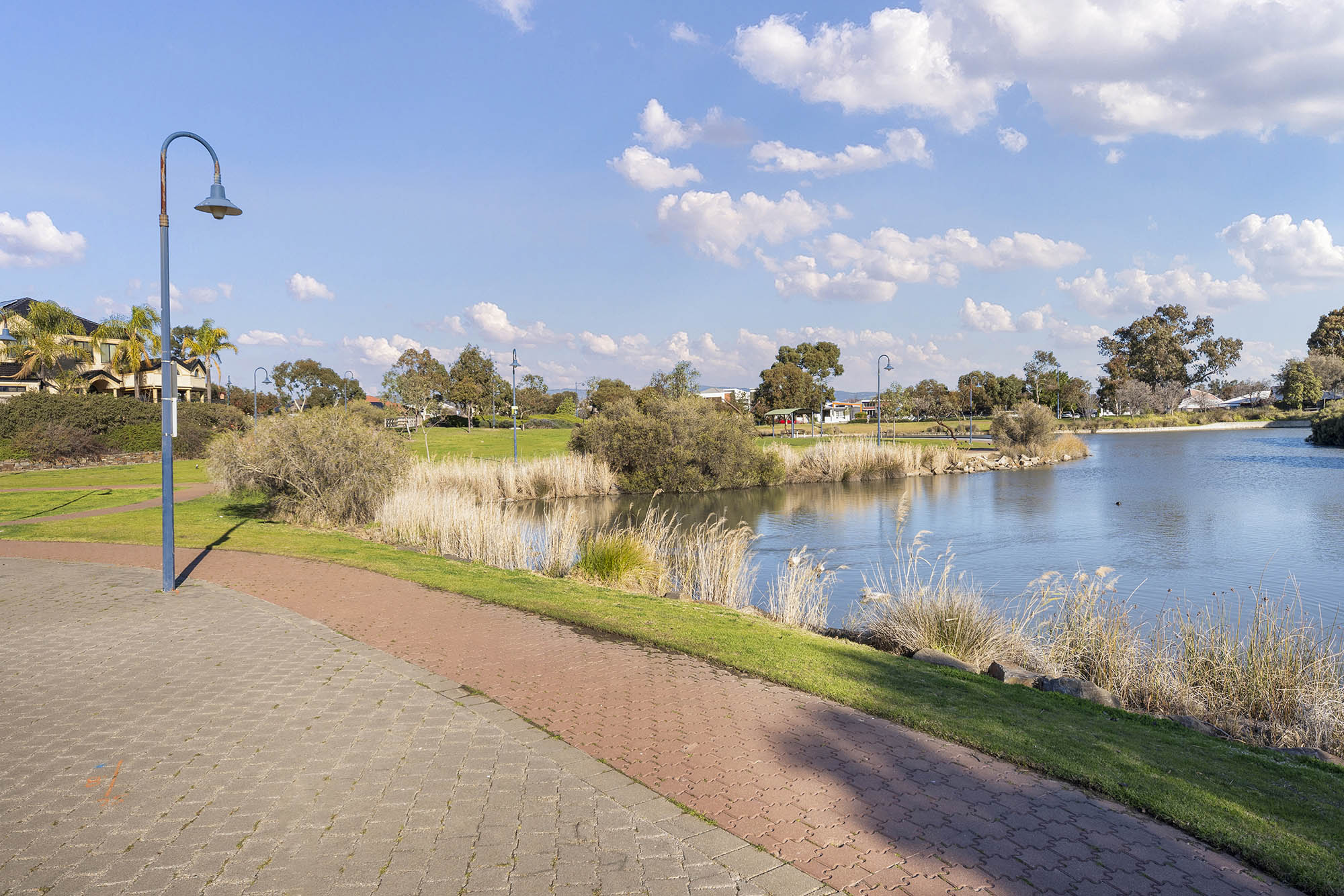 Central Broadview Setting Minutes from Prospect Road — Home image 20