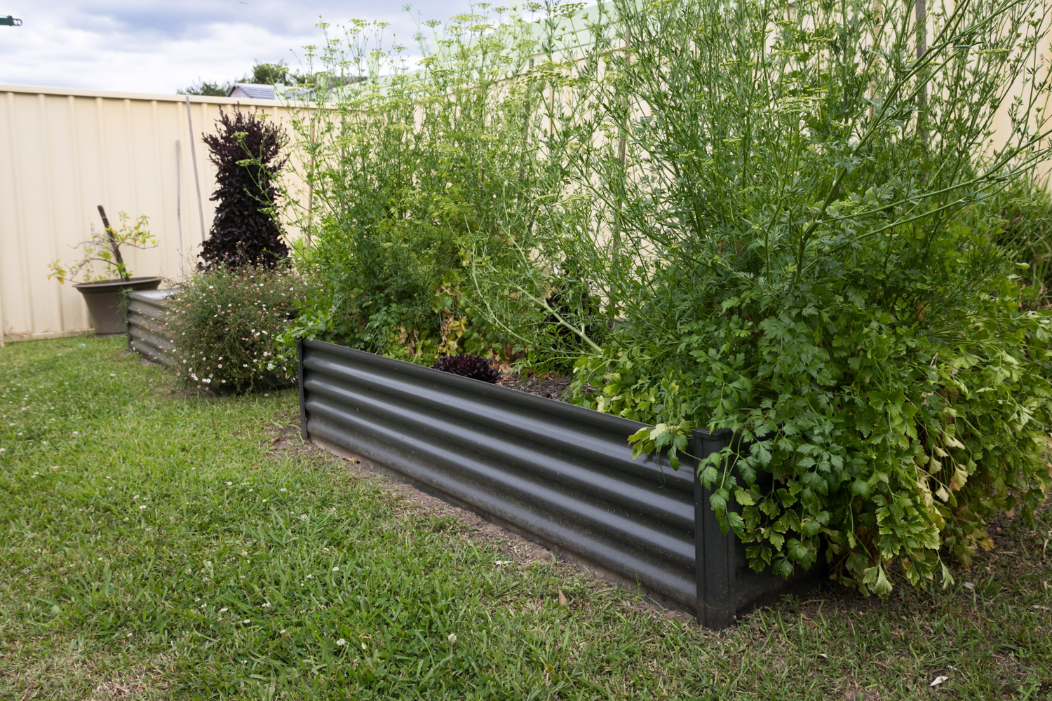 Kanwal - Walker (House 2) — Home image 14