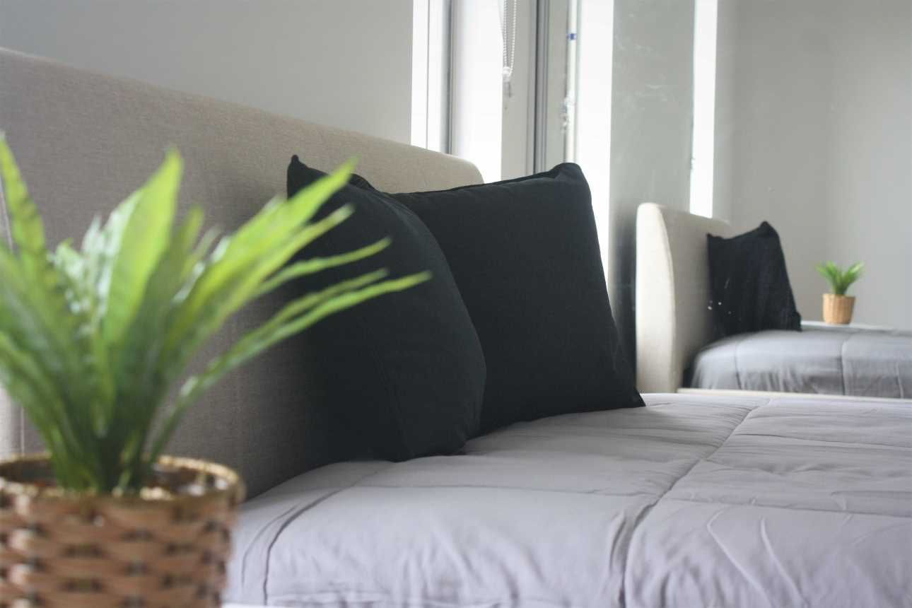 Care Channel: Brand New SDA Homes — Home image 3