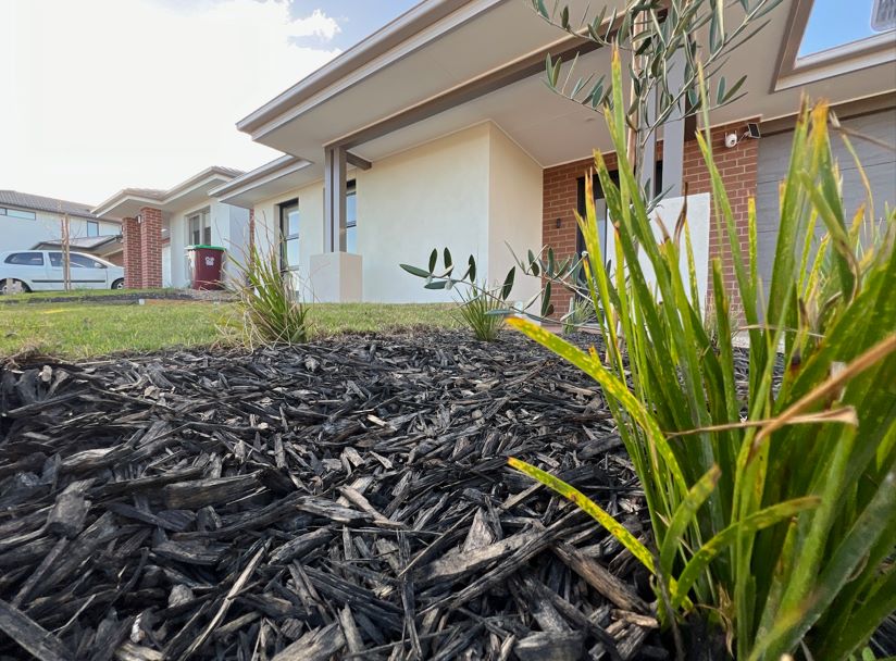 Welcome to Cranbourne East! 3 Bedroom HPS Home — Home image 4