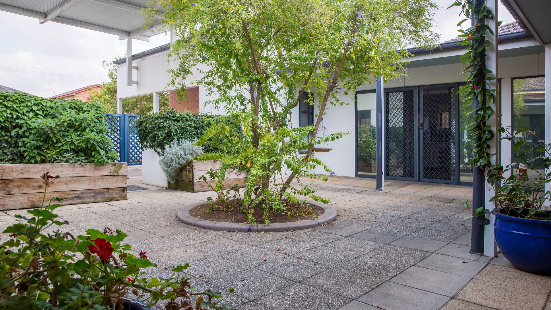 Comfortable and spacious home in Merrylands — Home image 2