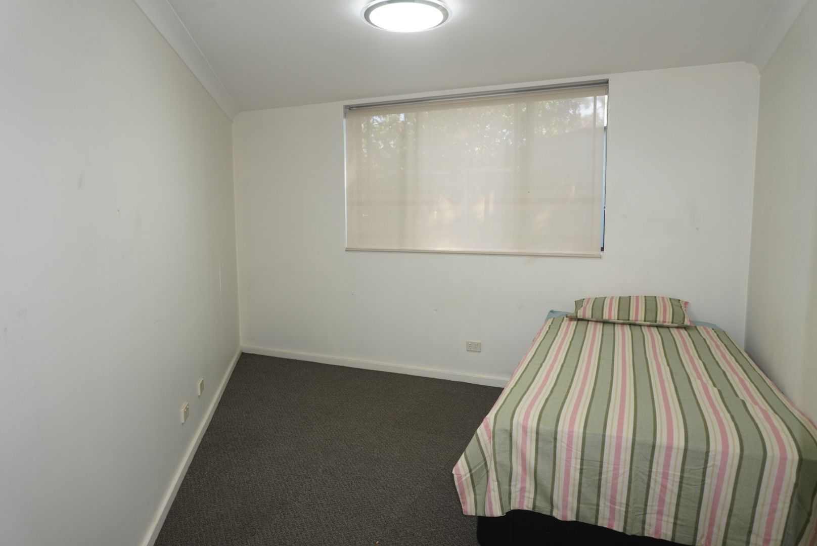 Granny Flat Kings Langley (SIL / ILO) — Home image 4