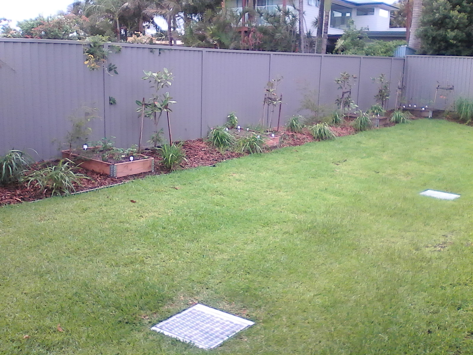 Individual Villa - SIL accommodation in Albion Park Rail - Fully Accessible — Home image 2