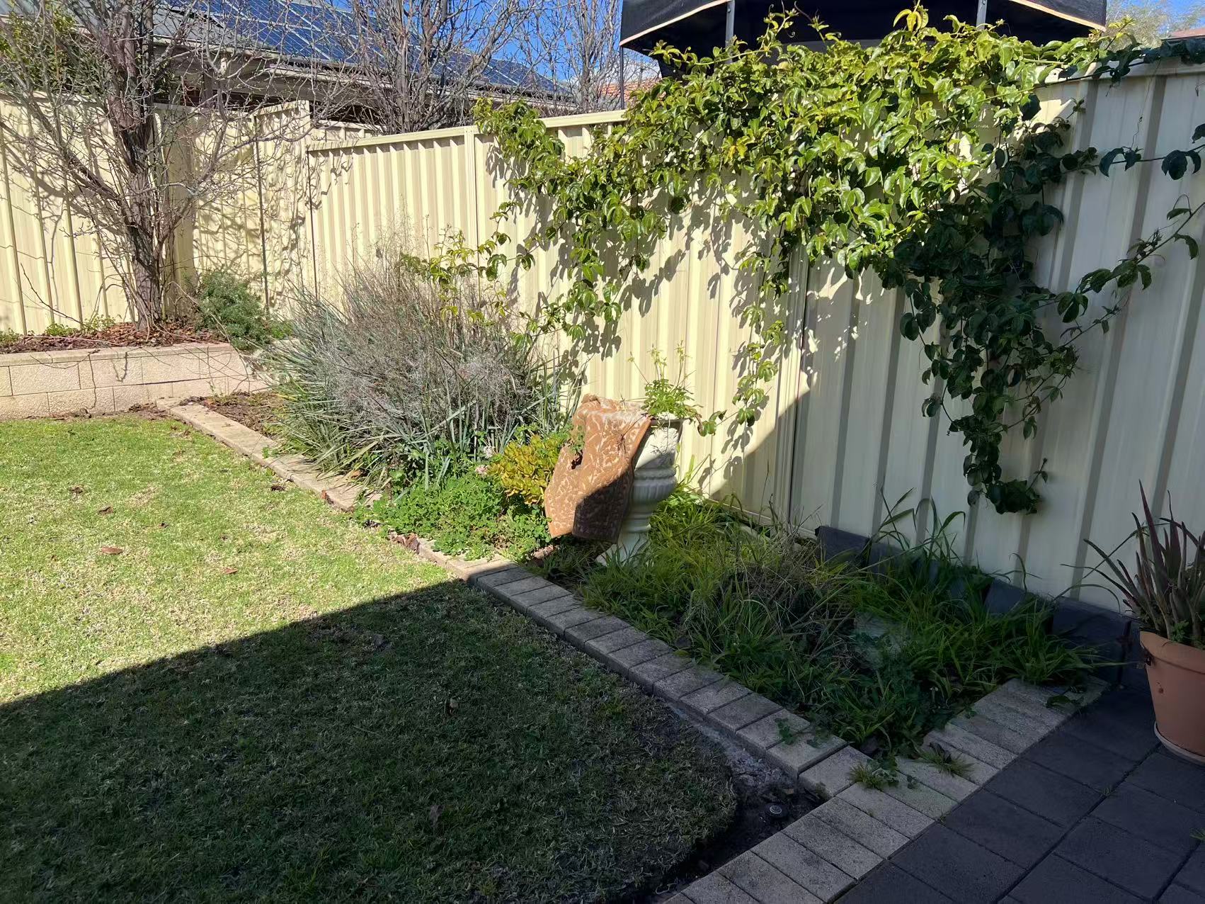 Sharing with 2 ladies in beautiful Campbelltown — Home image 10