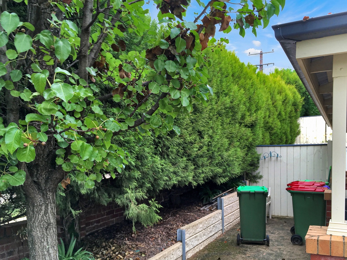 The Department of Families, Fairness and — Home image 6