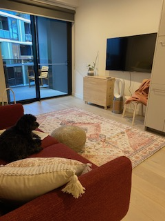 Near NEW two bedroom apartment for one resident centrally located in Hawthorn — Home image 3