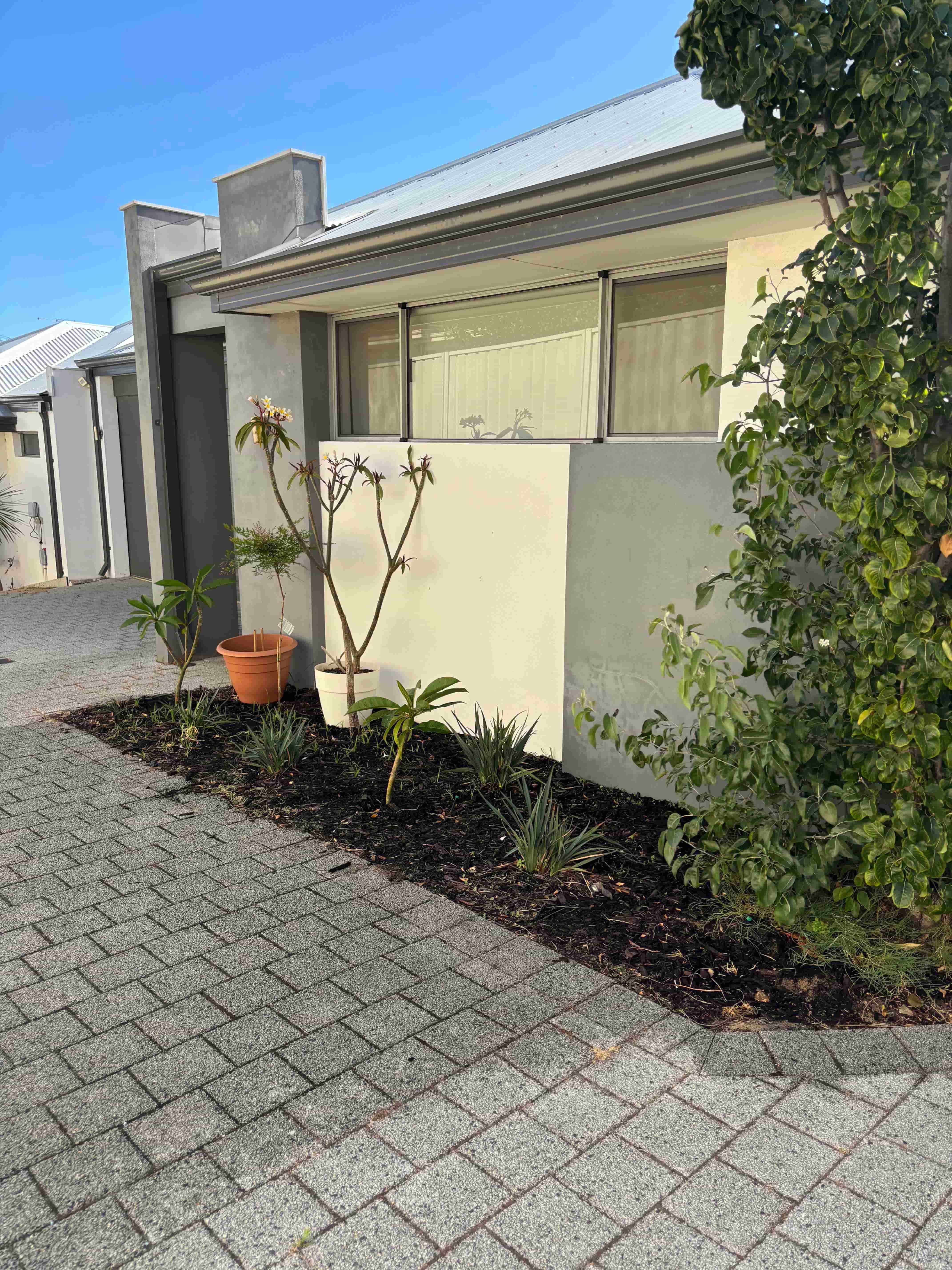 3-Bedroom Home with Friendly Housemate – Spearwood — Home image 2