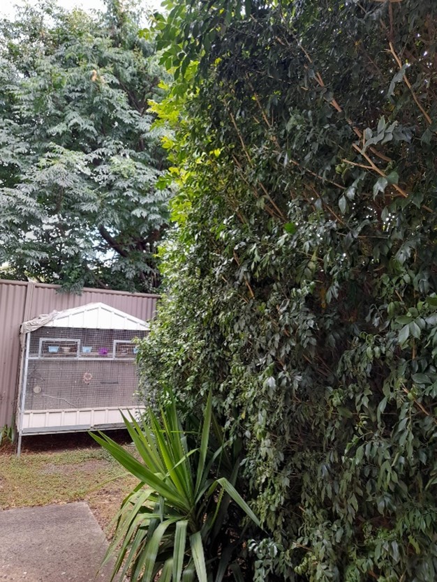 Daw Park Property - One Bedroom Available — Home image 11