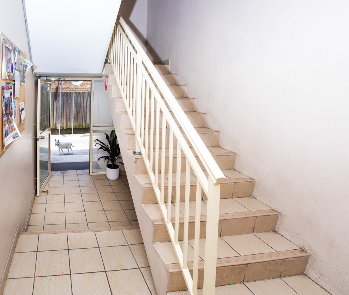 Lidcombe, Auburn — Home image 19