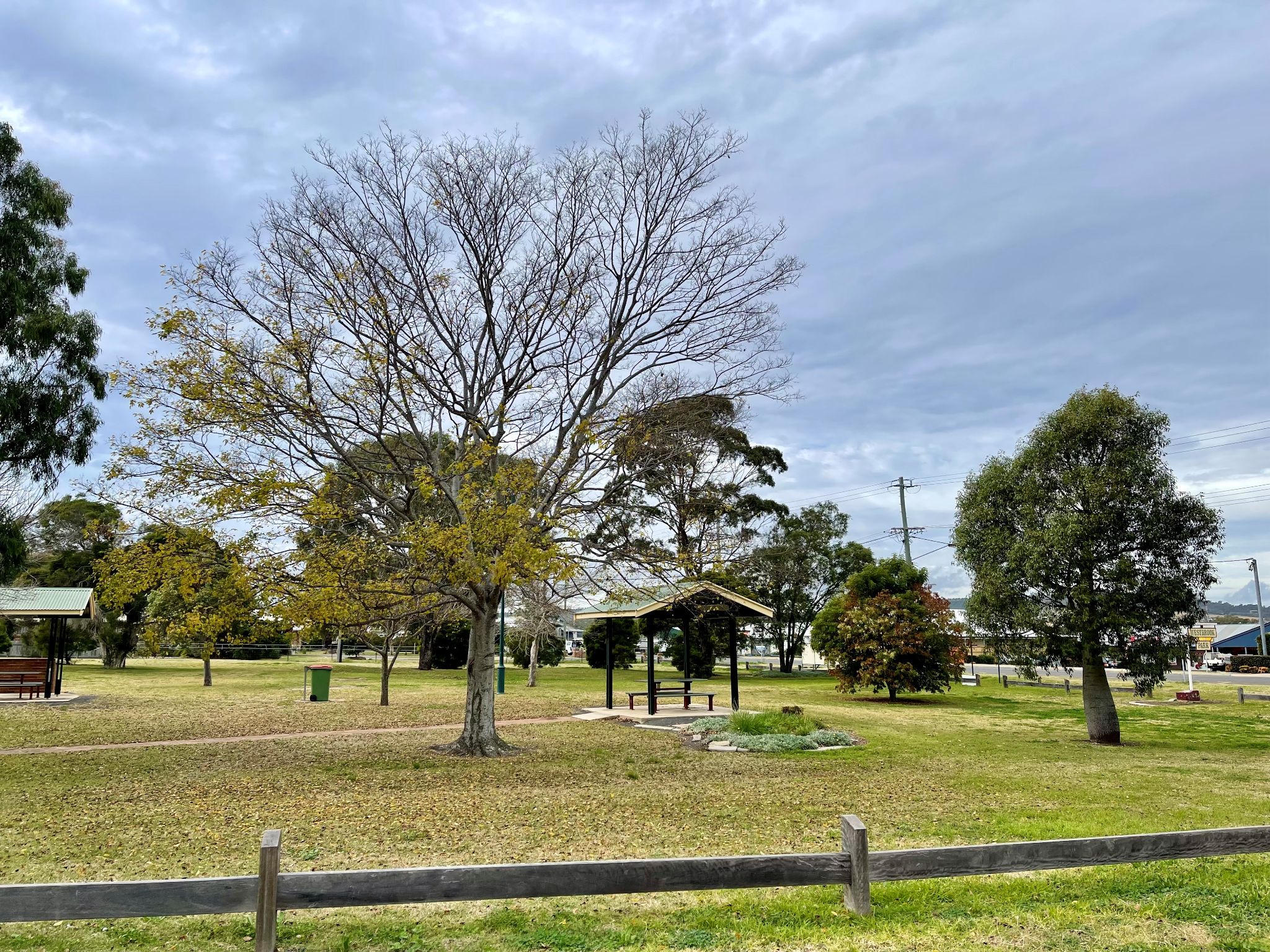 Improved Liveability Home looking for a housemate! — Home image 2