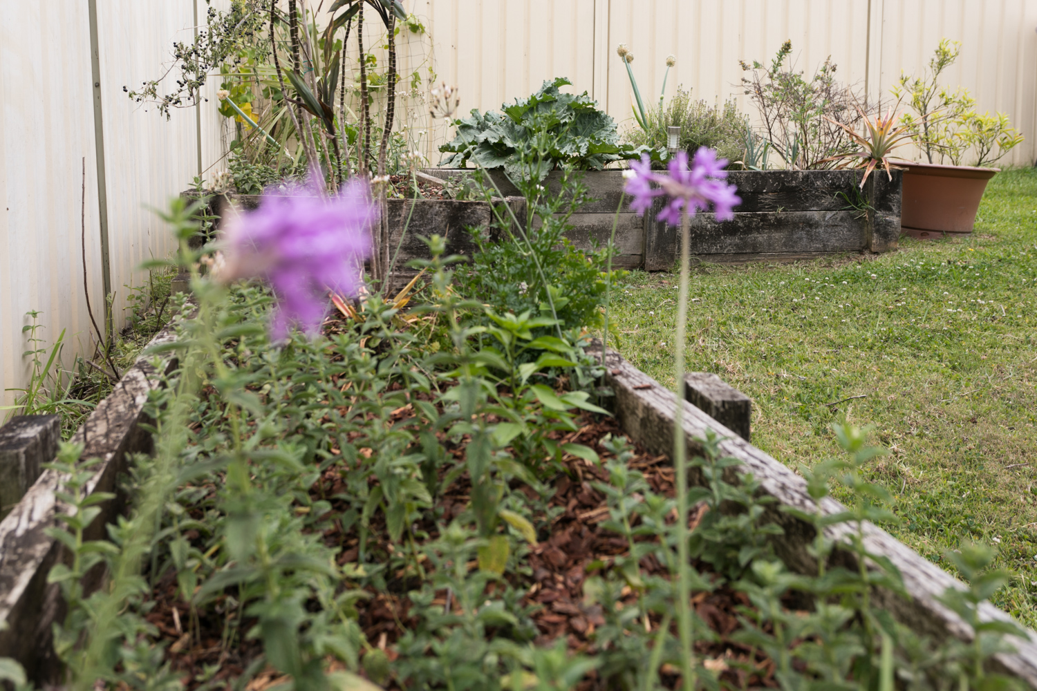 Kanwal – Walker (House 2) — Home image 12