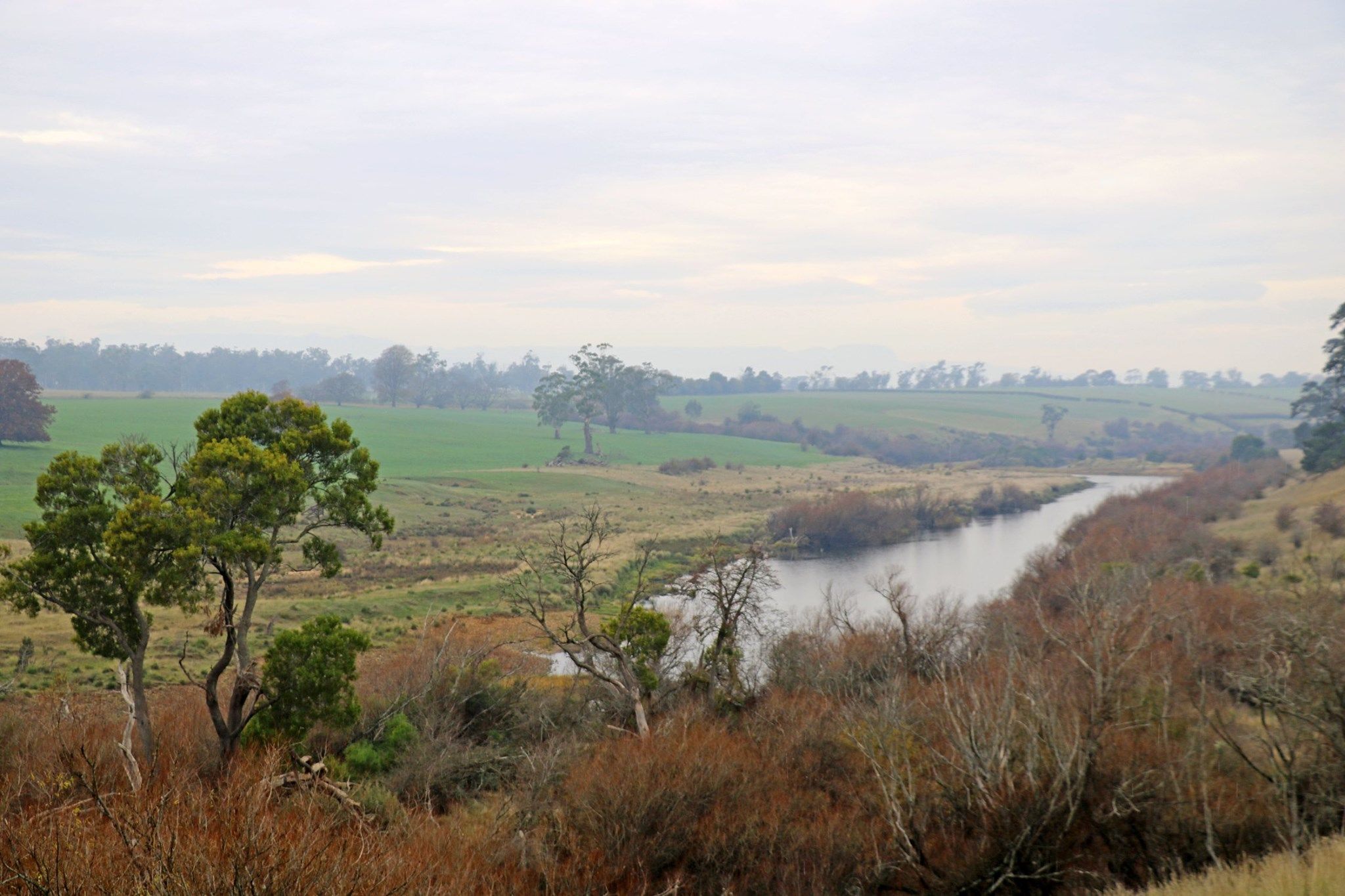 Eskleigh Home - Perth — Home image 7