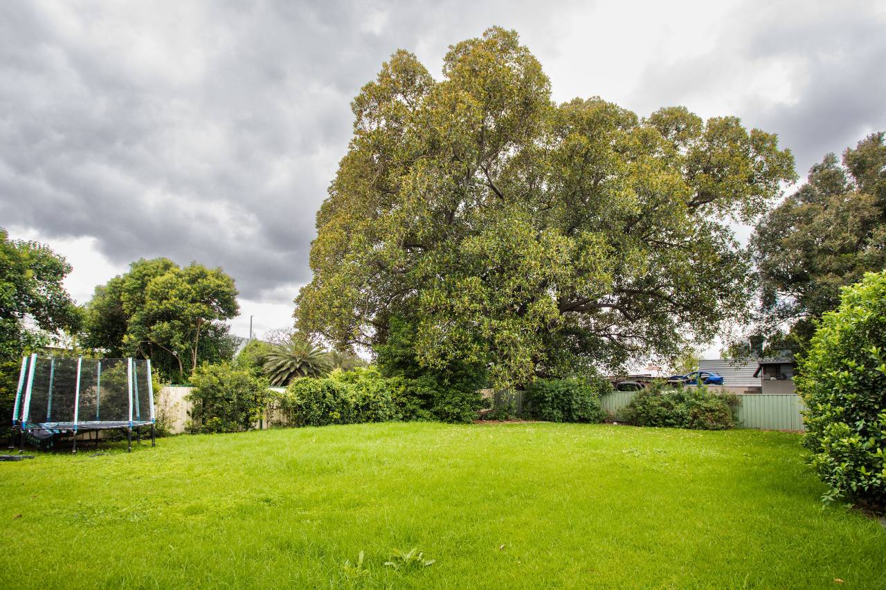 Granville, Parramatta South — Home image 16