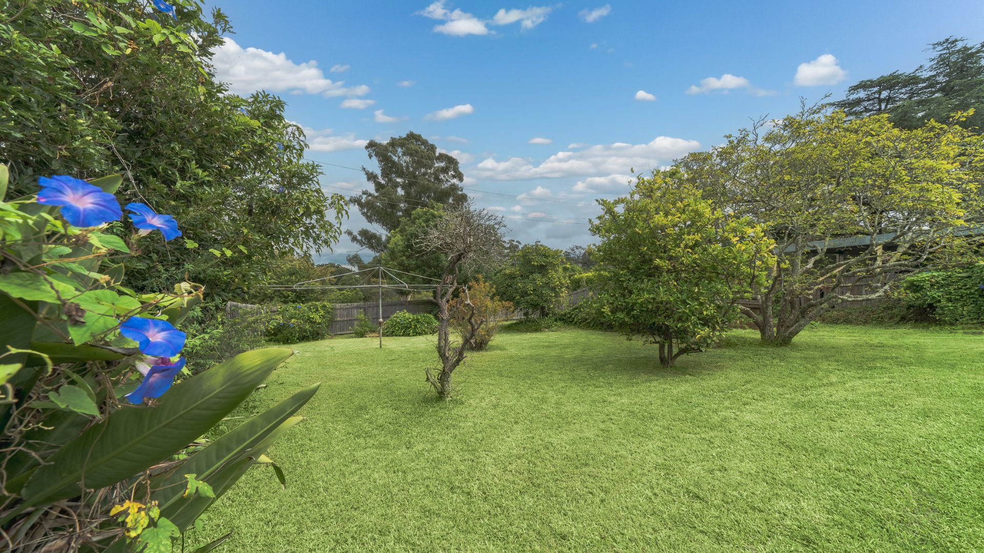 Hornsby | SIL Home — Home image 8