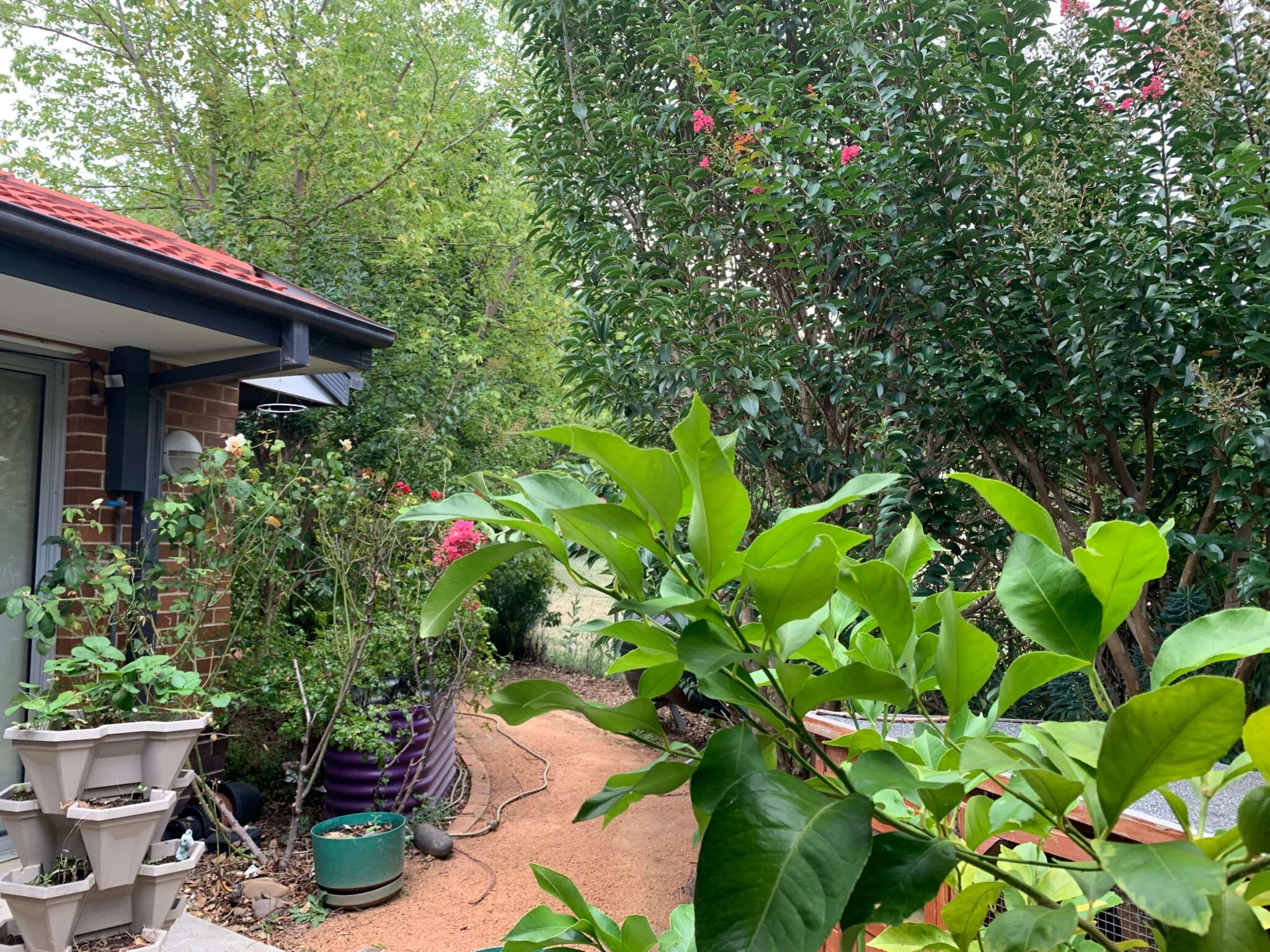 Narrabundah — Home image 4