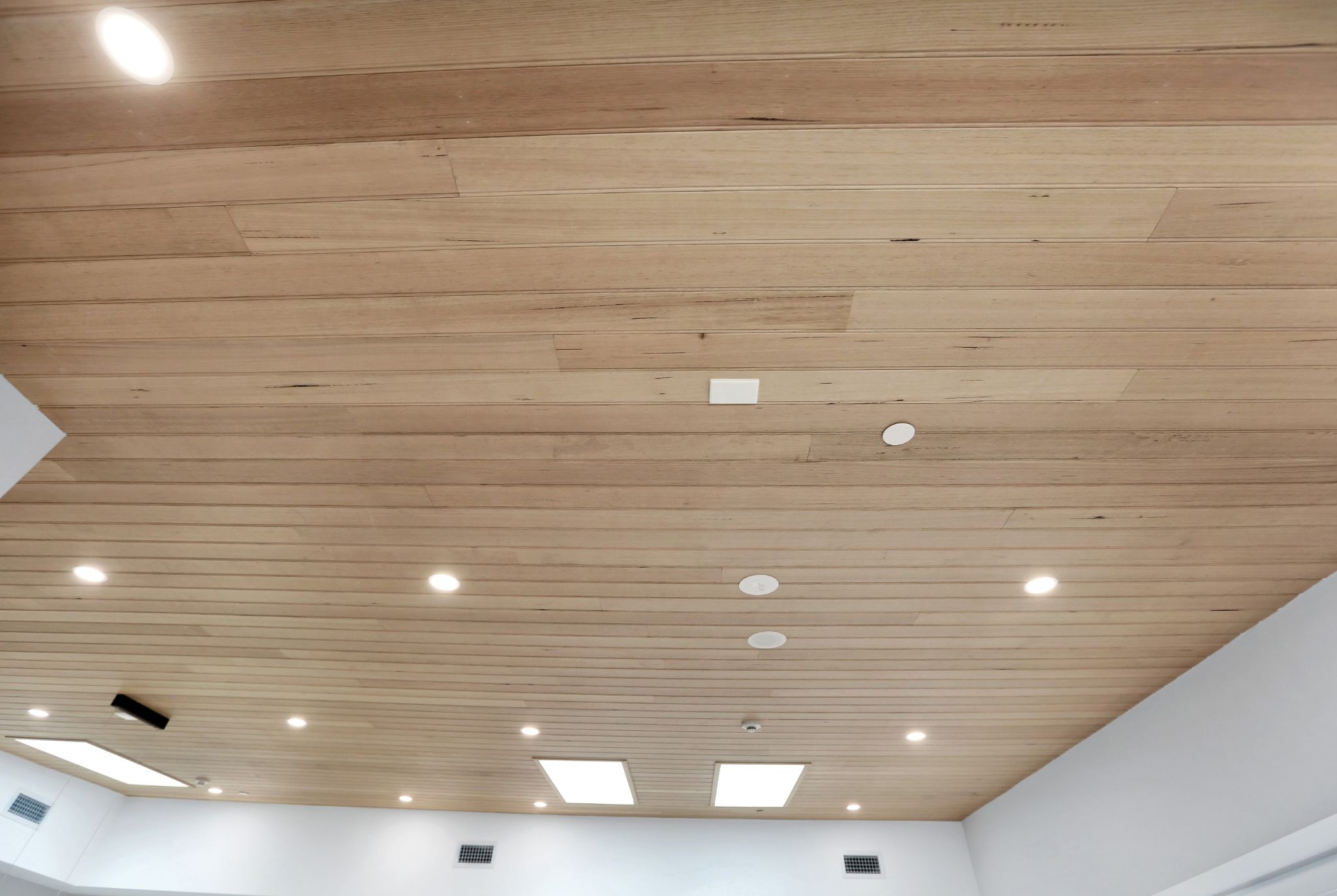 Sebright - Austral (SDA) — Home image 23