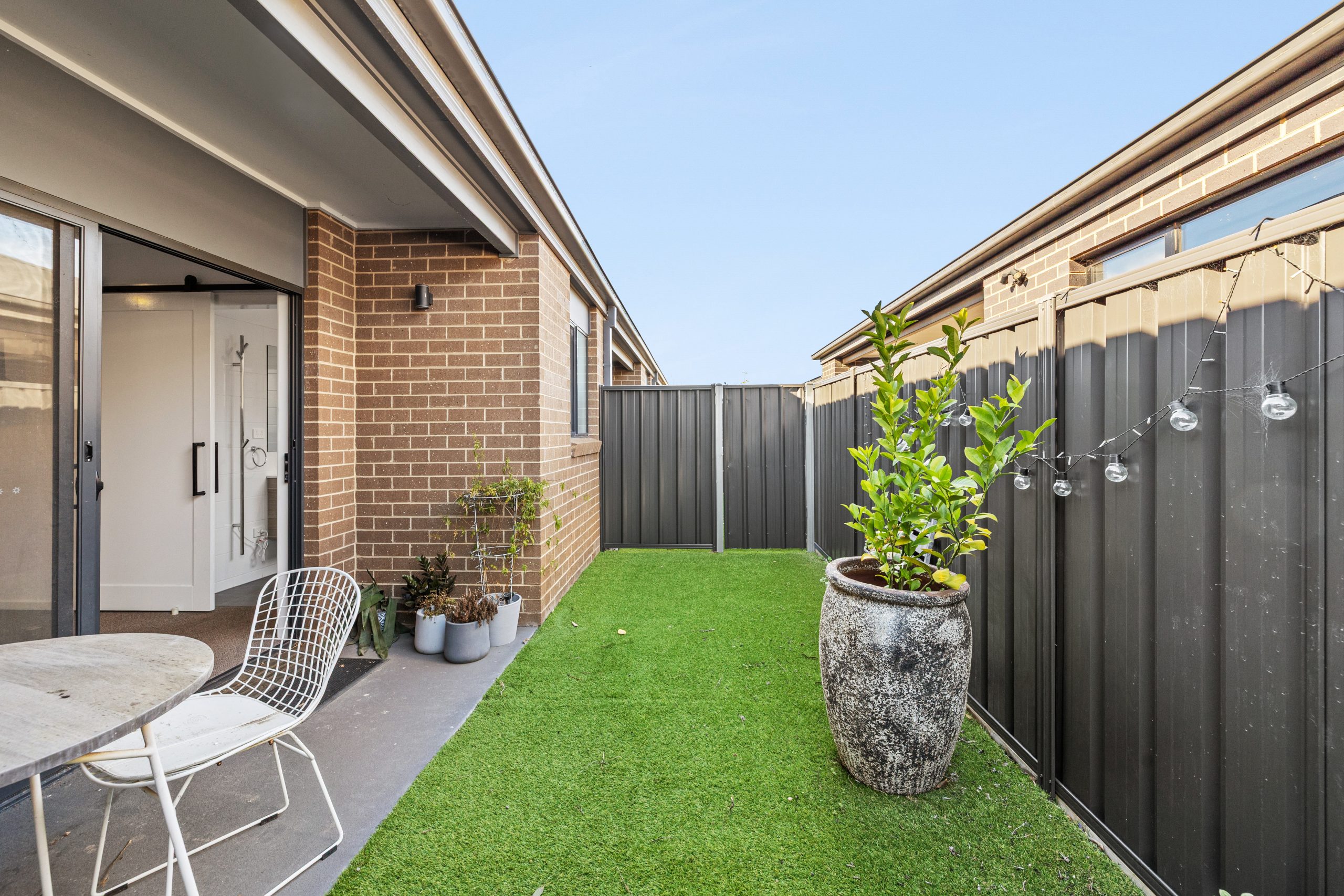 Tussock Drive, White Hills — Home image 8