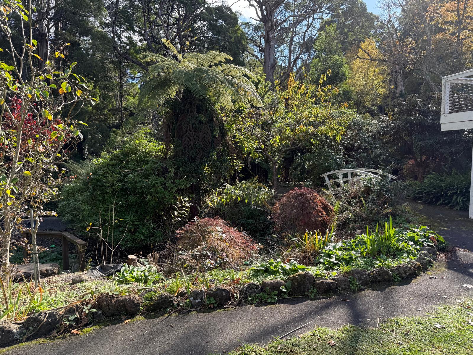 Peaceful Cottage Living in Mt Dandenong – Ideal for Respite, MTA & SIL — Home image 3