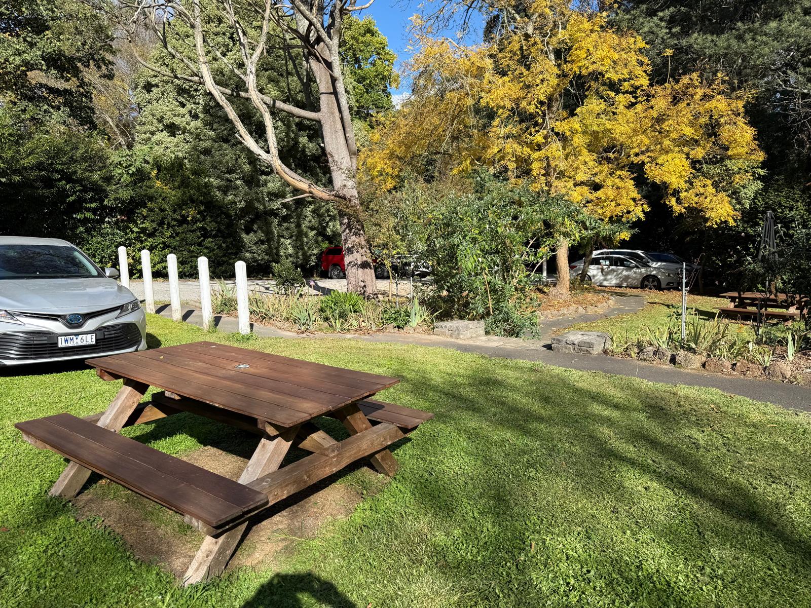 Peaceful Cottage Living in Mt Dandenong – Ideal for Respite, MTA & SIL — Home image 4