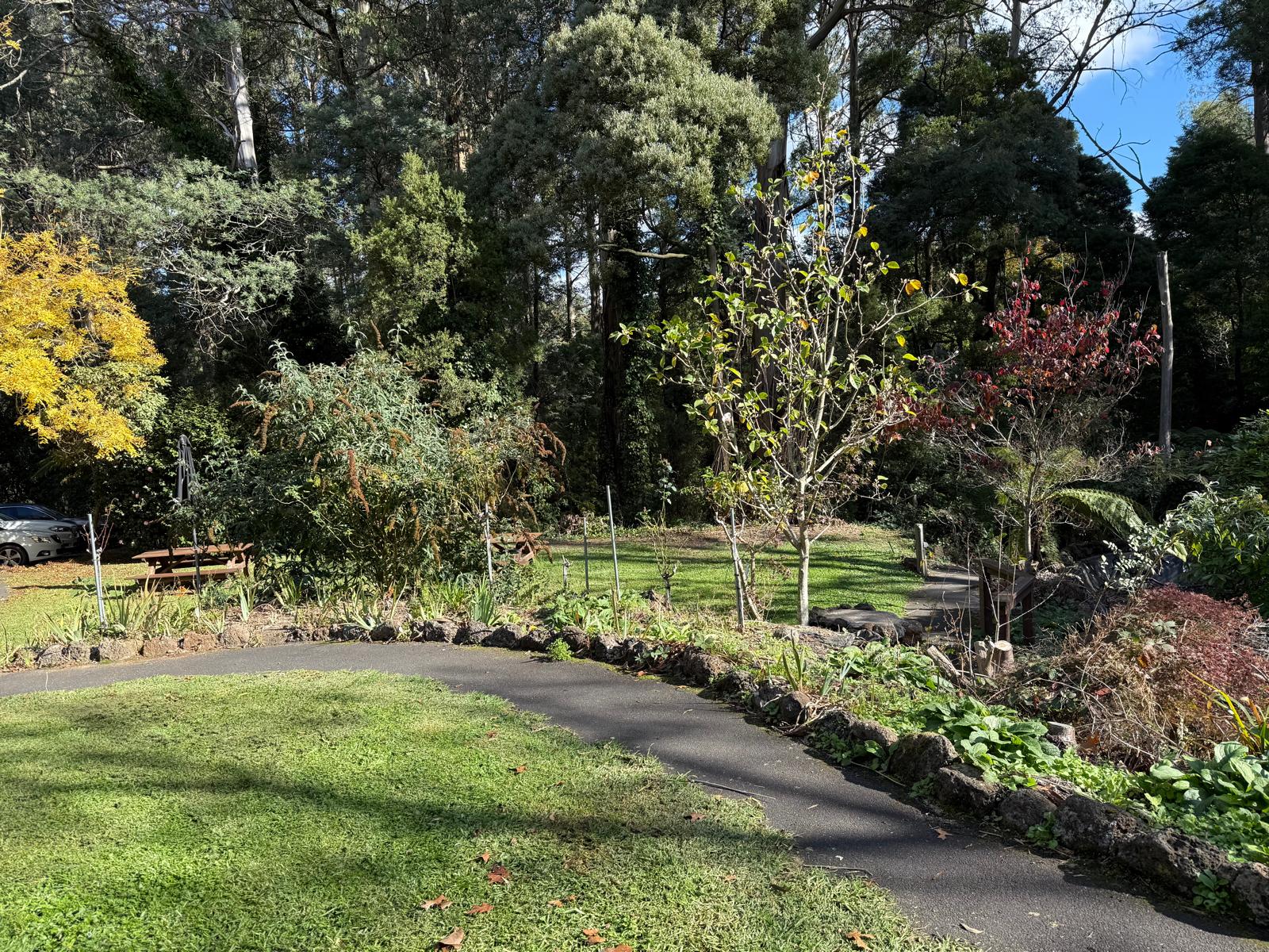 Peaceful Cottage Living in Mt Dandenong – Ideal for Respite, MTA & SIL — Home image 7