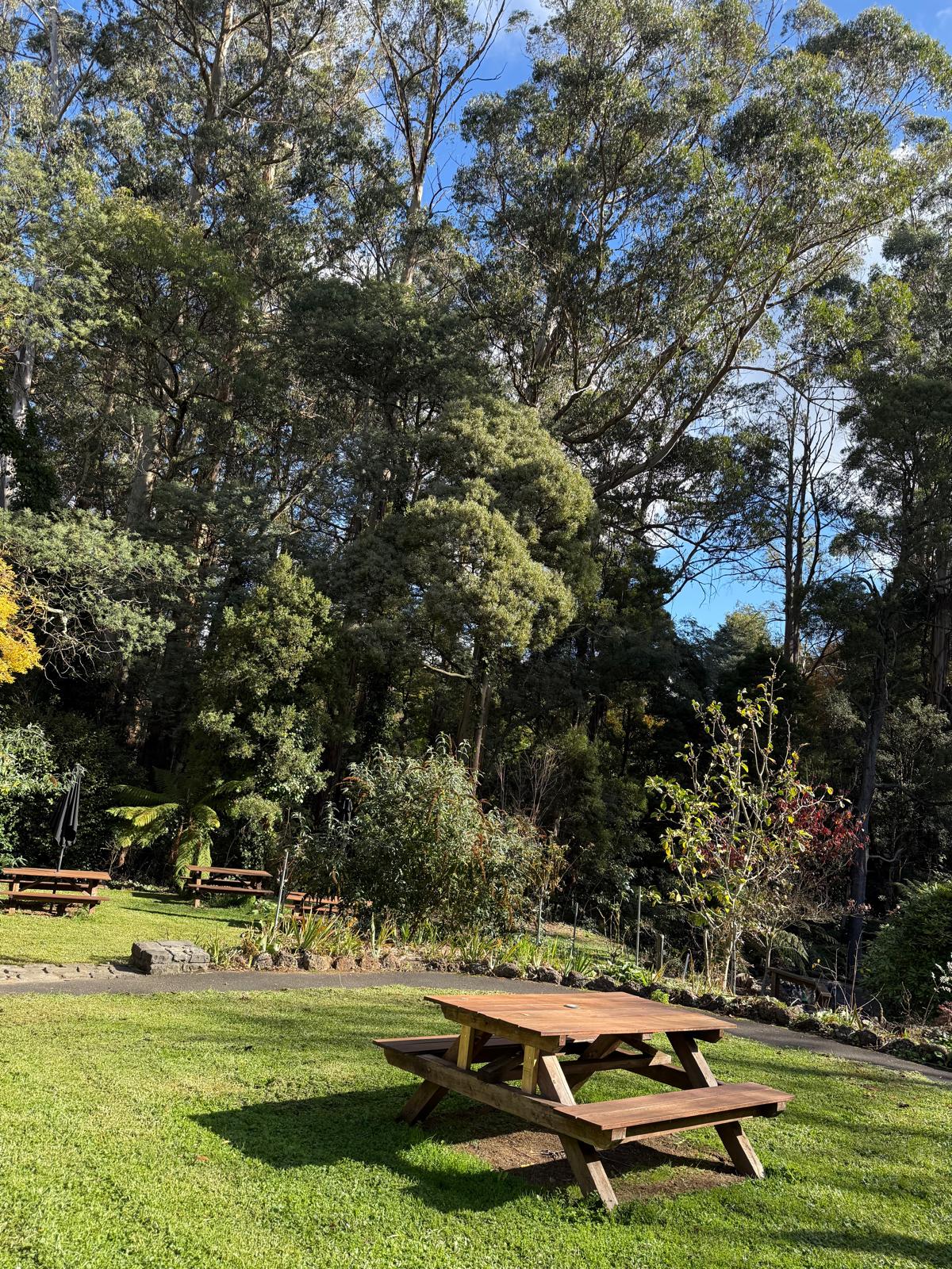 Peaceful Cottage Living in Mt Dandenong – Ideal for Respite, MTA & SIL — Home image 9
