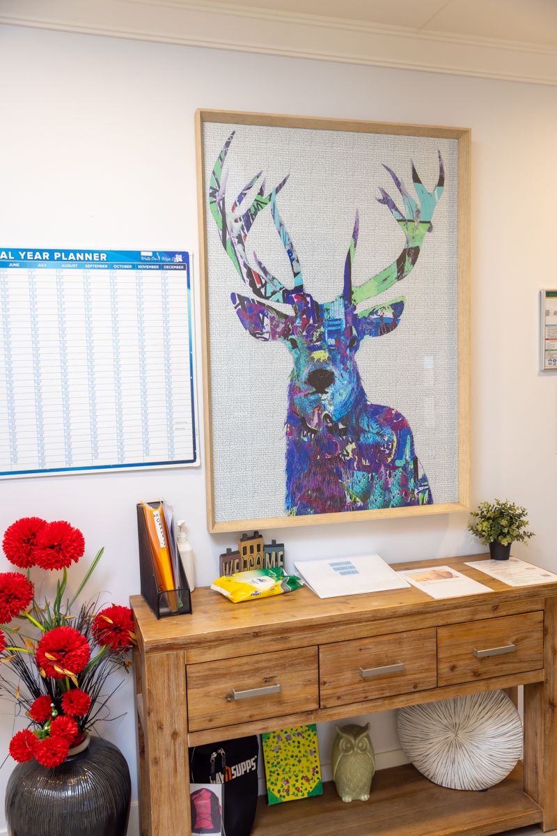 McCall  - Shared Independent Living - Schofields — Home image 6
