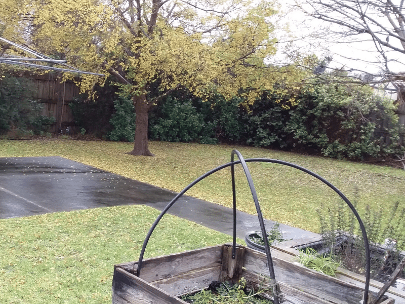 SDA: Reservoir, VIC — Home image 5