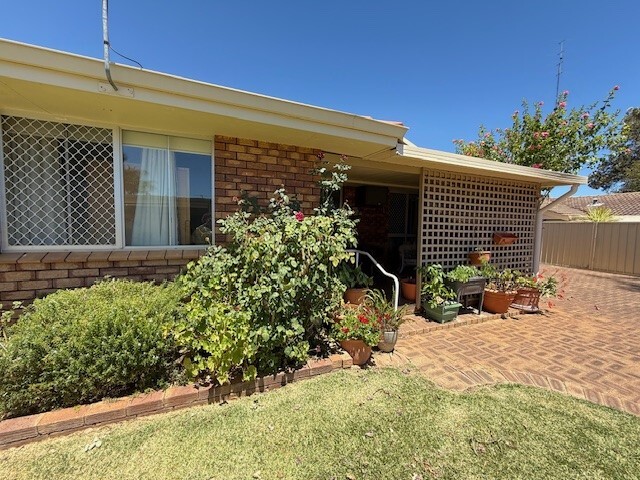 Warm and welcoming in Carey Park — Home image 6