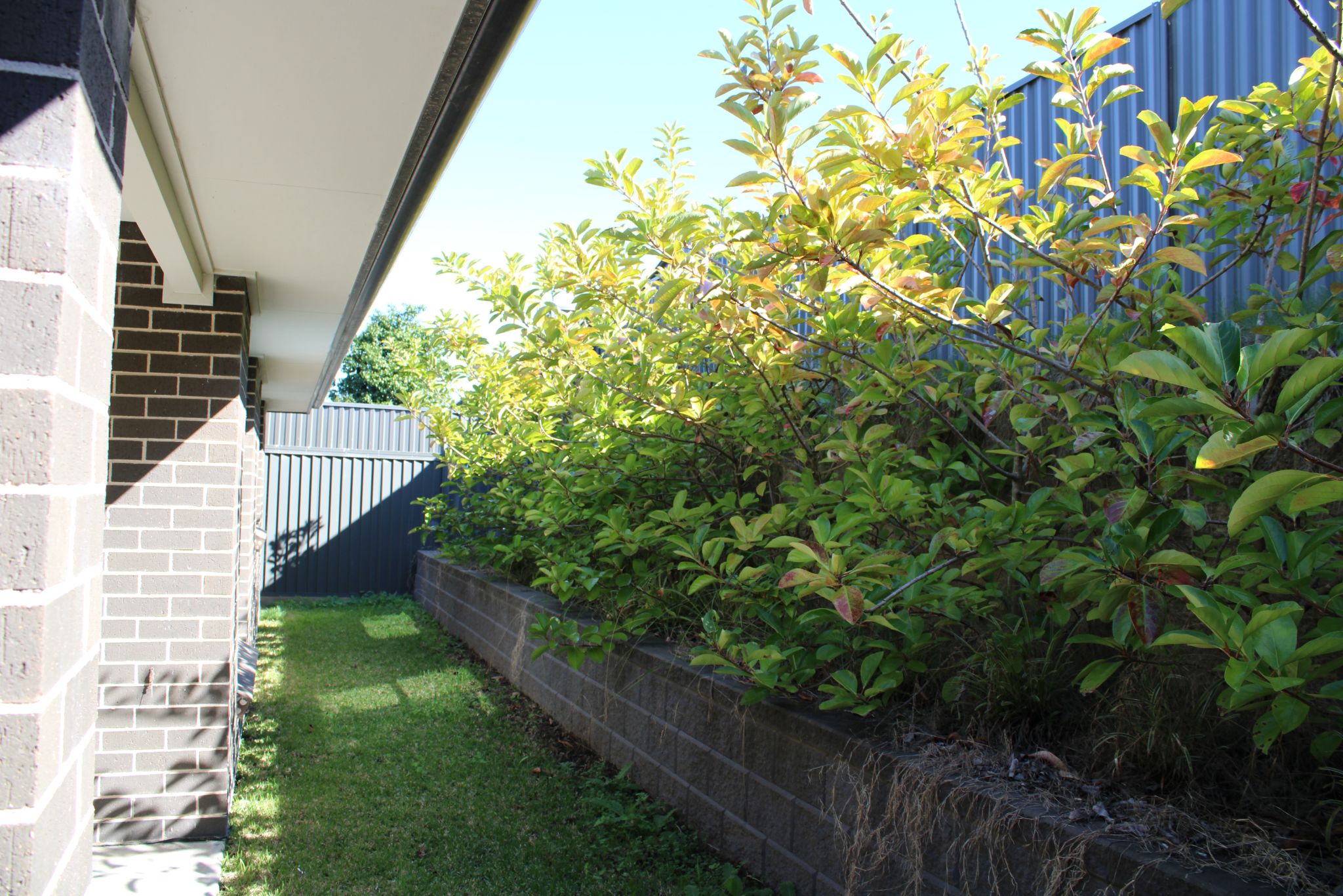 Lowndes Oran Park - STA /MTA Home - 4 Bed 2 Bath — Home image 2