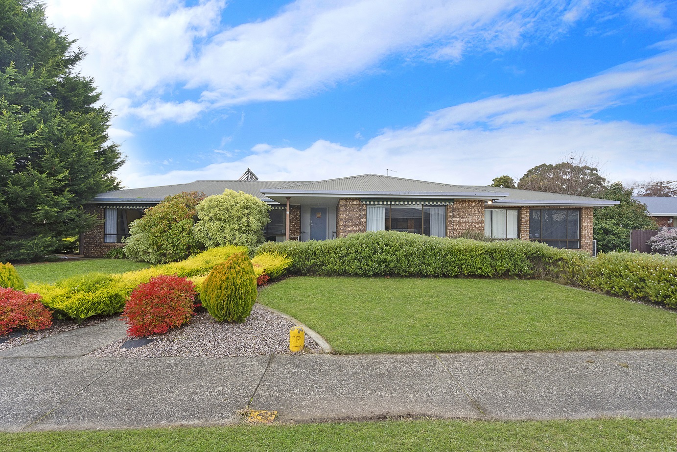 Packham Street - One bedroom now available — Floorplan 1