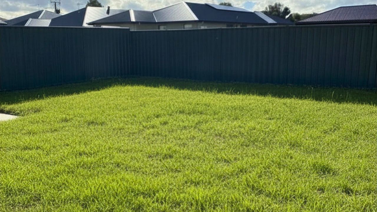 Robust SDA home in Murray Bridge — Home image 4