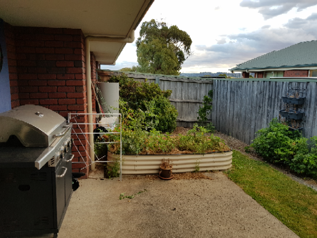 Comfortable unit in Newnham with one vacancy — Home image 3